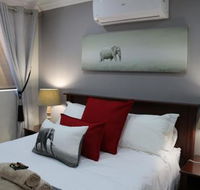 Hummingbird's Nest - Tourism Africa