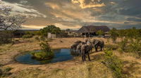 Imagine Africa Luxury Tented Camp Tourism Africa