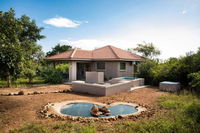 Impala Lily Tourism Africa