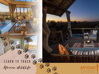 Impodimo Game Lodge Tourism Africa