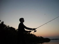 InchCape Tourism Africa