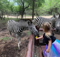 InniBos Marloth Park - Tourism Africa
