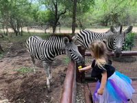 InniBos Marloth Park Tourism Africa