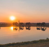 Jabulani Safari - Tourism Africa