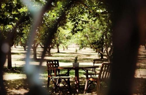 Jan Harmsgat - thumb 5