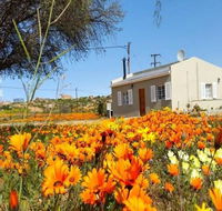 Kamieskroon Cosy Cottage - Tourism Africa