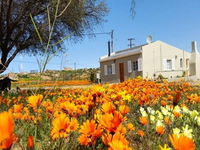 Booking Kamieskroon Tourism Africa