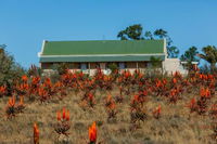 Book Middleton Hotels, Tourism Africa Tourism Africa