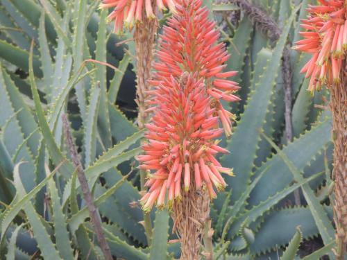 Karibu River Retreat - thumb 2