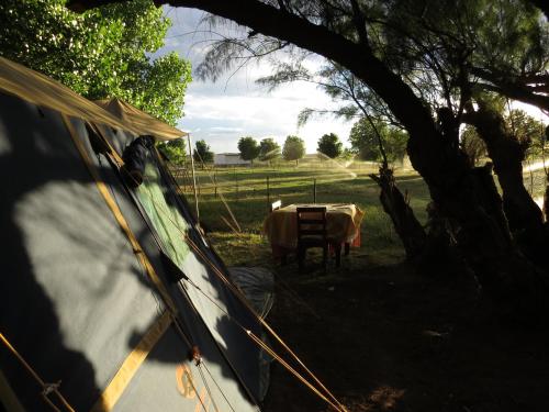 Karoo Gariep Tented Camp - thumb 5