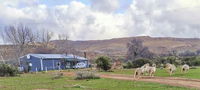 Karoo Rustigheid Guestfarm its located on the farm Koornlandskloof Sutherland Tourism Africa
