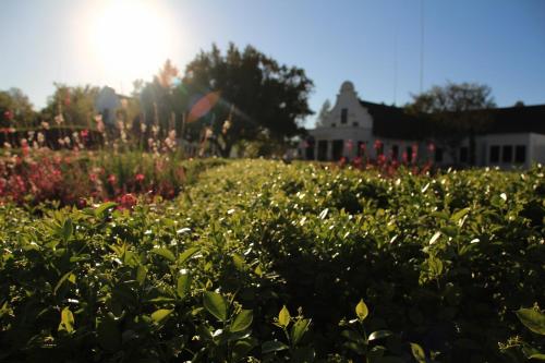 Kievits Kroon Gauteng Wine Estate - thumb 1