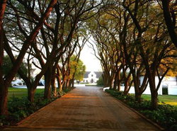 Kievits Kroon Gauteng Wine Estate