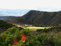Kleingeluk Guest Farm Tourism Africa
