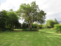 Koraalboom Tourism Africa