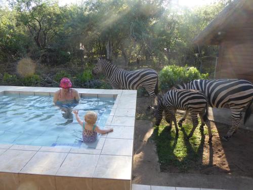 Kruger Cottage - thumb 1