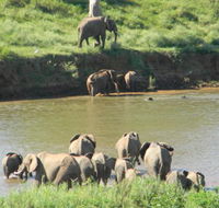 Kruger View Chalets - Accommodation Africa
