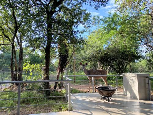 Kruger's Keep - Luxury Couples Haven - thumb 4