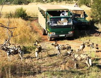 Kwa Maritane Bush Lodge Tourism Africa