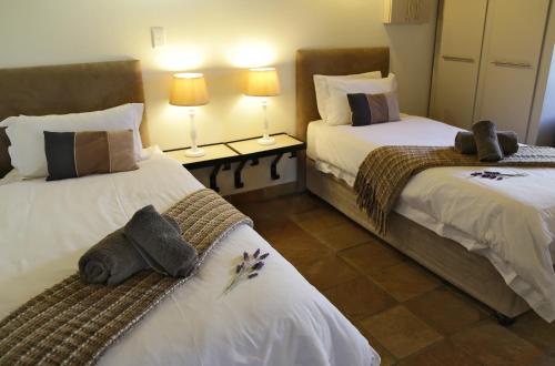 La Baleine - thumb 5