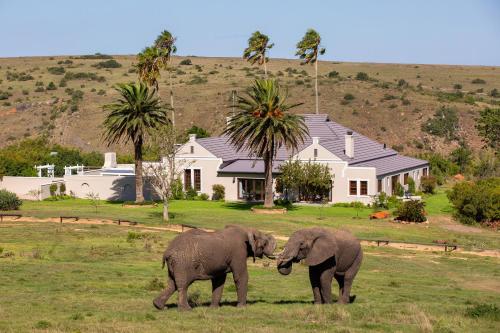 Lalibela Game Reserve - Mills Manor - thumb 1