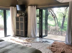 Simba Safaris African Pride Exotic Lodge