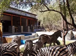 Dream of Africa Bush Lodge