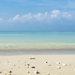 Al Aqah Tourism Africa