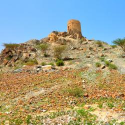 Hatta Tourism Africa