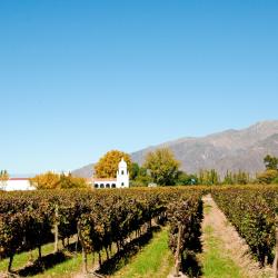 Cafayate Tourism Africa