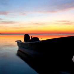 Esteros del Iberá Tourism Africa