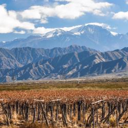 Mendoza Province Tourism Africa