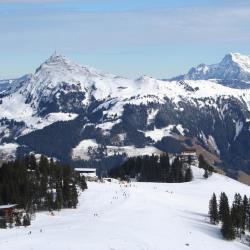 Skicircus Saalbach Hinterglemm Leogang Fieberbrunn Tourism Africa