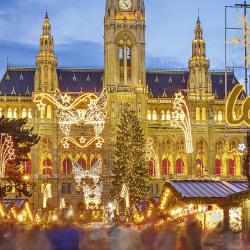 Vienna Christmas Market, Vienna Tourism Africa