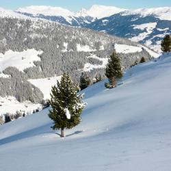 Zillertal Tourism Africa