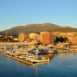 Hobart Tourism Africa