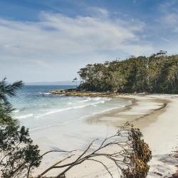 Jervis Bay Tourism Africa