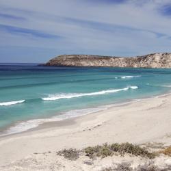Kangaroo Island Tourism Africa