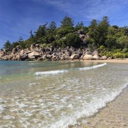 Magnetic Island Tourism Africa