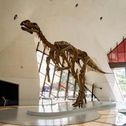 National Museum of Australia, Canberra Tourism Africa