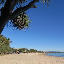 Noosa Tourism Africa