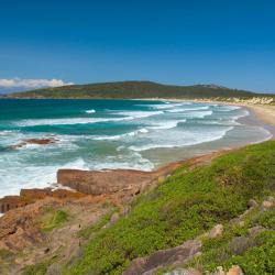 Port Stephens Tourism Africa