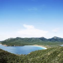 Tasmania Tourism Africa