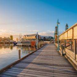 Western Australia Tourism Africa