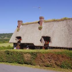 Belgian Coast Tourism Africa