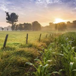 East-Flanders Tourism Africa