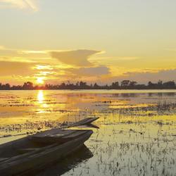 Pantanal Tourism Africa