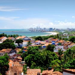 Recife Tourism Africa