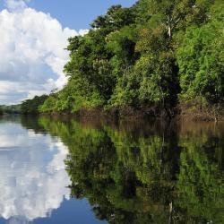 Rondonia Tourism Africa