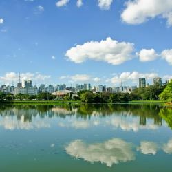 Sao Paulo Tourism Africa